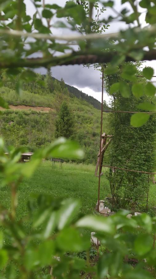 Родинна Оселя Slavske Εξωτερικό φωτογραφία